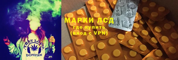 молекула духа Елизово
