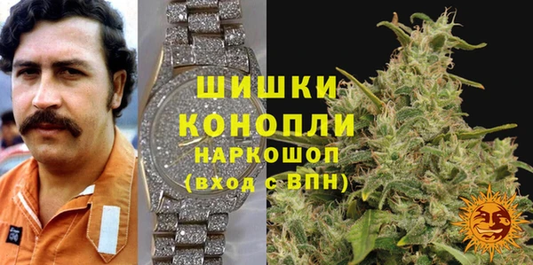 молекула духа Елизово