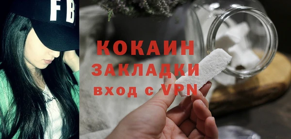 молекула духа Елизово