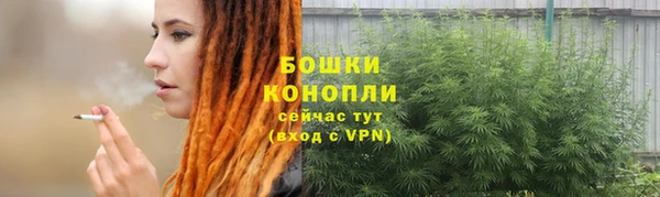 мяу мяу мука Елабуга
