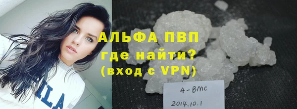 молекула духа Елизово
