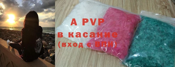 молекула духа Елизово