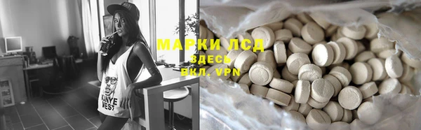 мяу мяу мука Елабуга