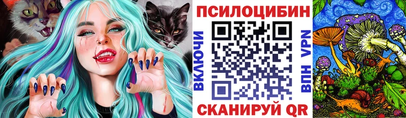 Купить закладки  Уссурийск  Псилоцибиновые грибы Psilocybe 