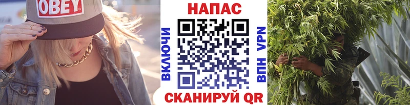 Конопля White Widow  Купить закладки  Уссурийск 